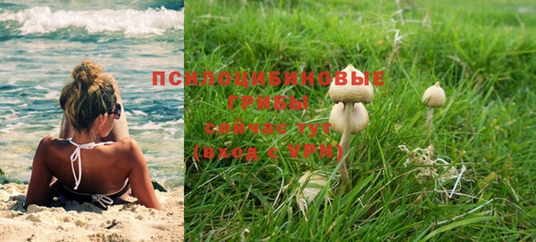 дживик Абаза