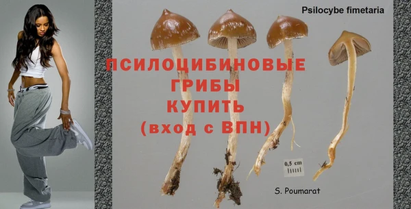стаф Алексин
