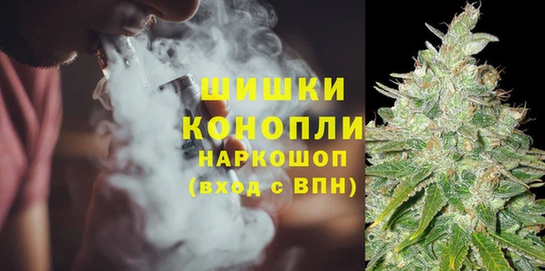 стаф Алексин