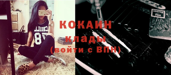 индика Аркадак